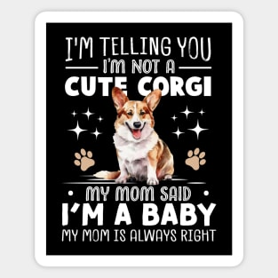 I'm telling you I'm not a corgi my mom said I'm a baby and my mom is always right Magnet